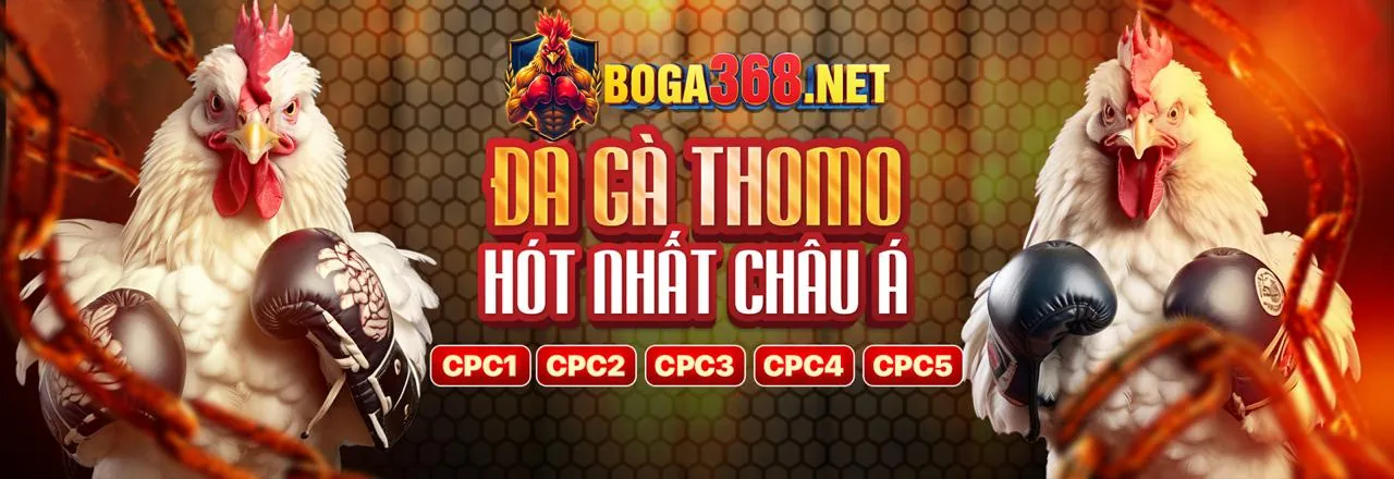 Hệ thống bảo mật Betking Code