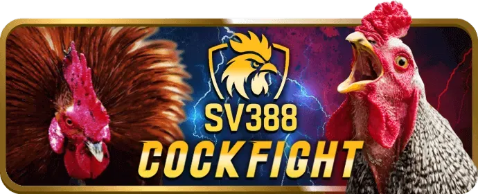 Biểu tượng khóa an toàn và lá chắn bảo vệ thông tin người dùng Betking Code